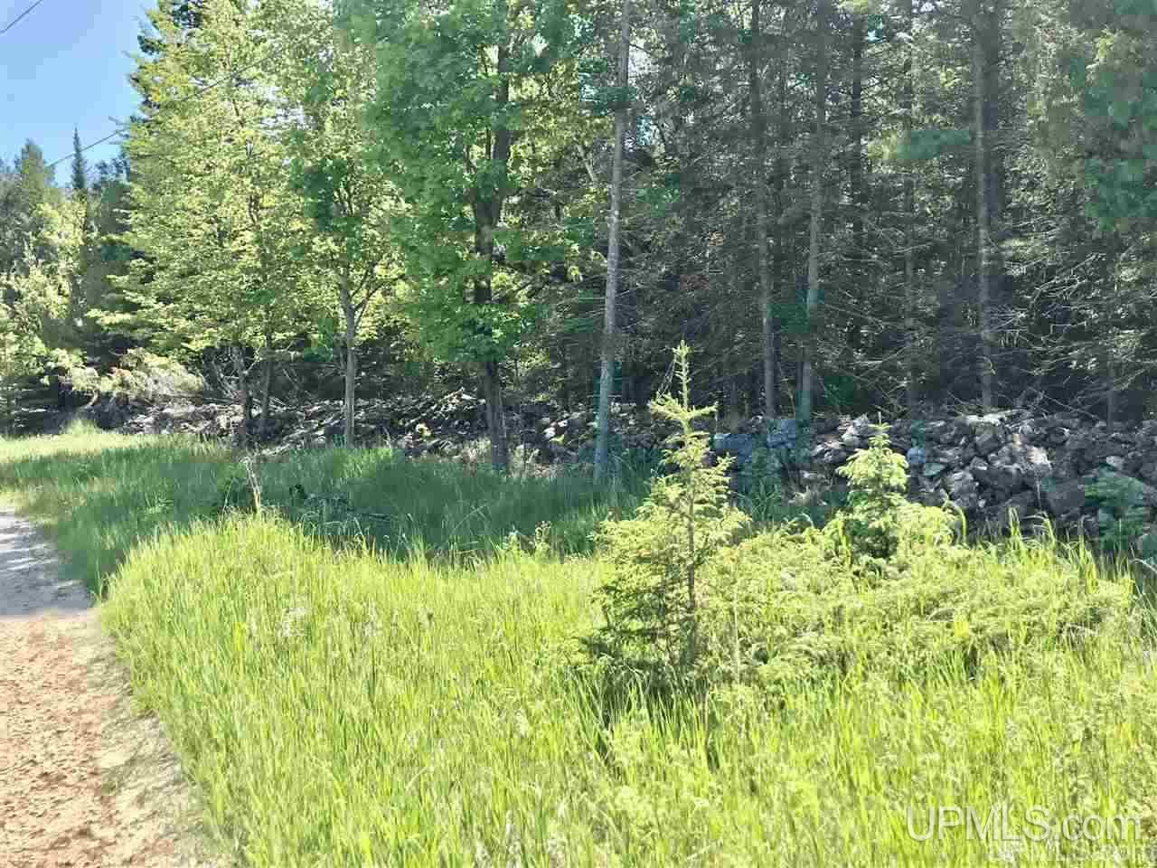 75 Gg 75 Road, Unit G SOUTH Garden, MI 49835 - Photo 14 of 14