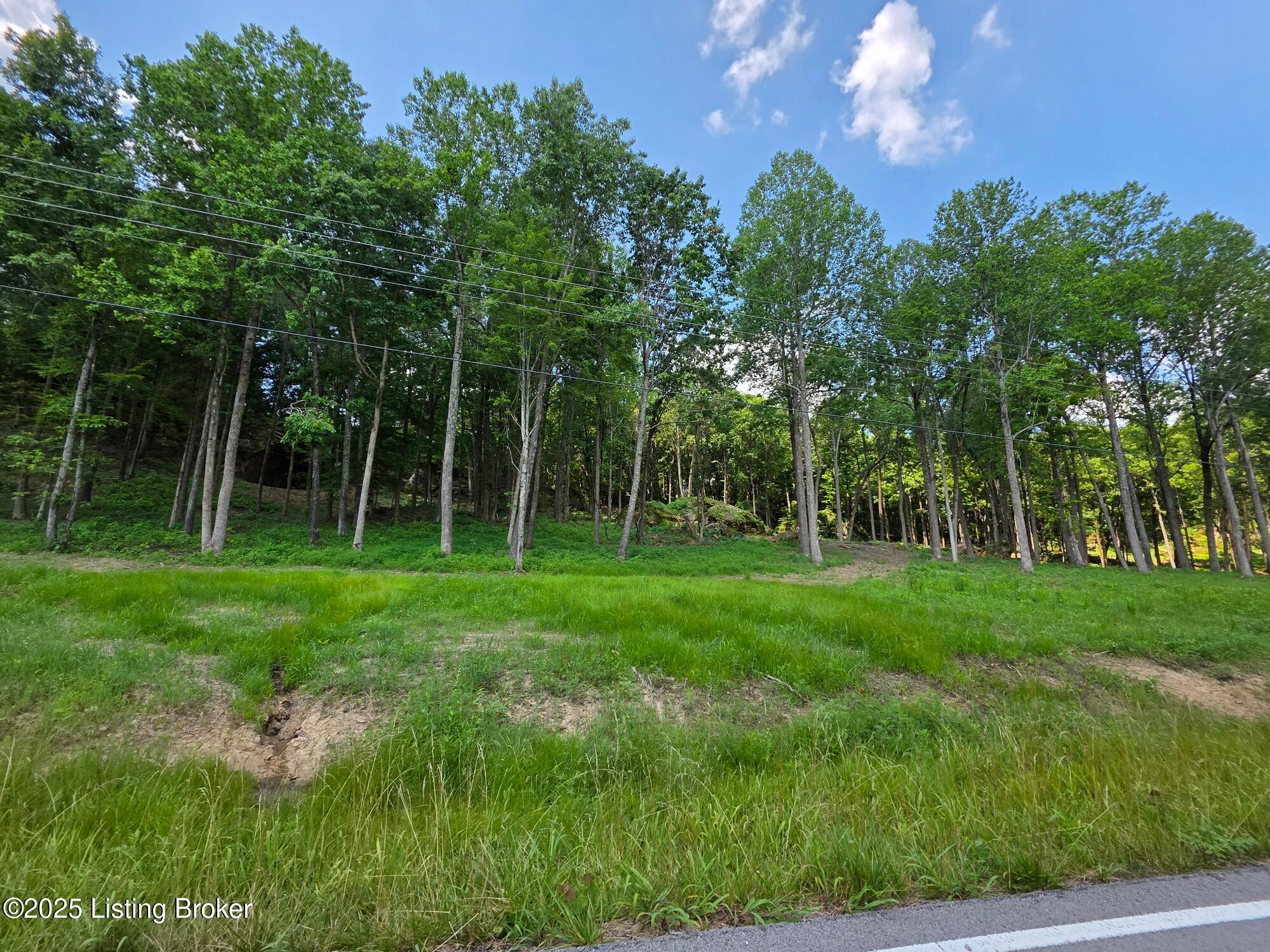 5 Cave Creek Road Falls Of Rough, KY 40119 - Photo 10 of 15 Lot 5-8