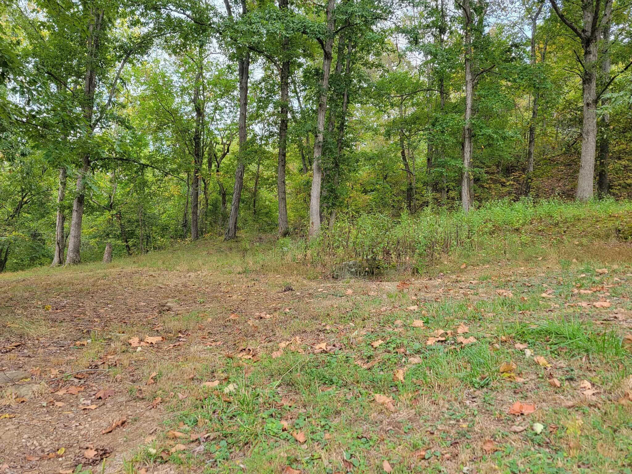 1573 Graham School Road Gallipolis, OH 45631 - Photo 34 of 38 r35