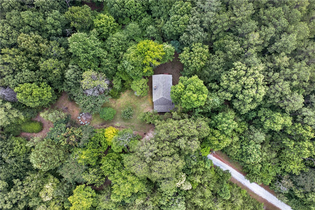 130 Maggie Rufus Lane Westminster, SC 29693 - Photo 46 of 50 Nestled in a verdant canopy, a private retreat awaits down a winding drive.