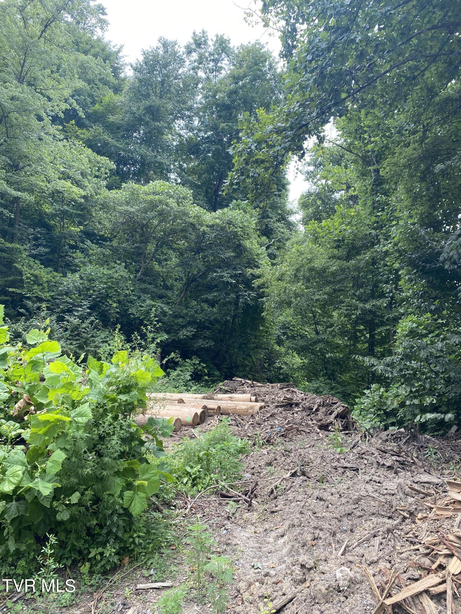 0 Dry Fork Road Vansant, VA 24656 - Photo 11 of 18 IMG_9500