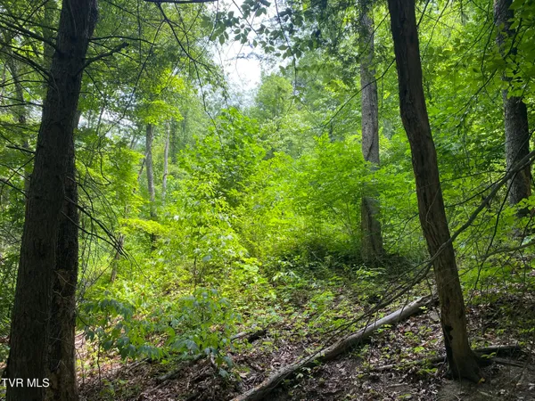 $135,000 | 0 Dry Fork Road, Vansant, VA 24656