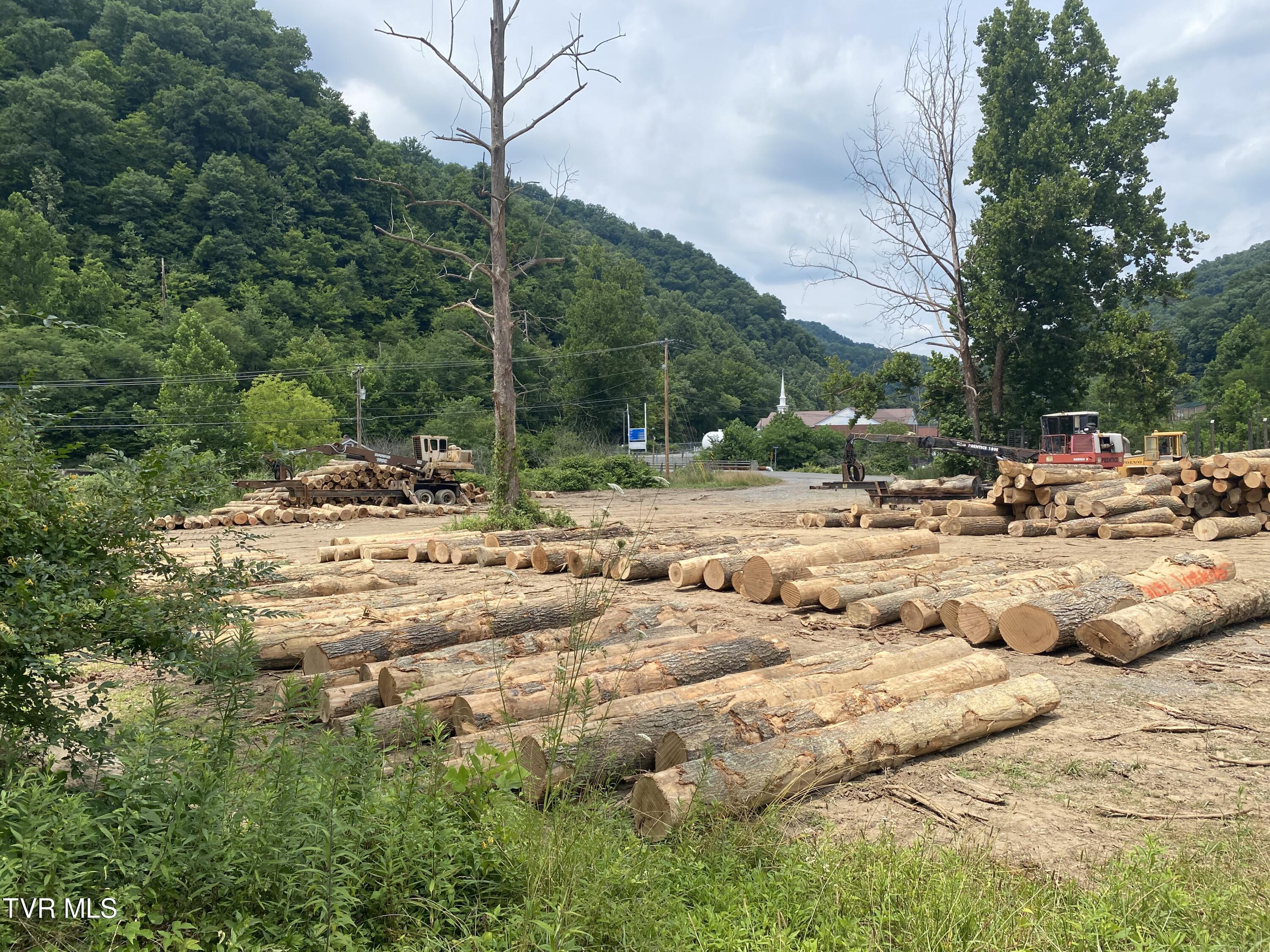 0 Dry Fork Road Vansant, VA 24656 - Photo 3 of 18 IMG_9495