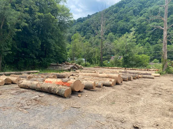 $135,000 | 0 Dry Fork Road, Vansant, VA 24656