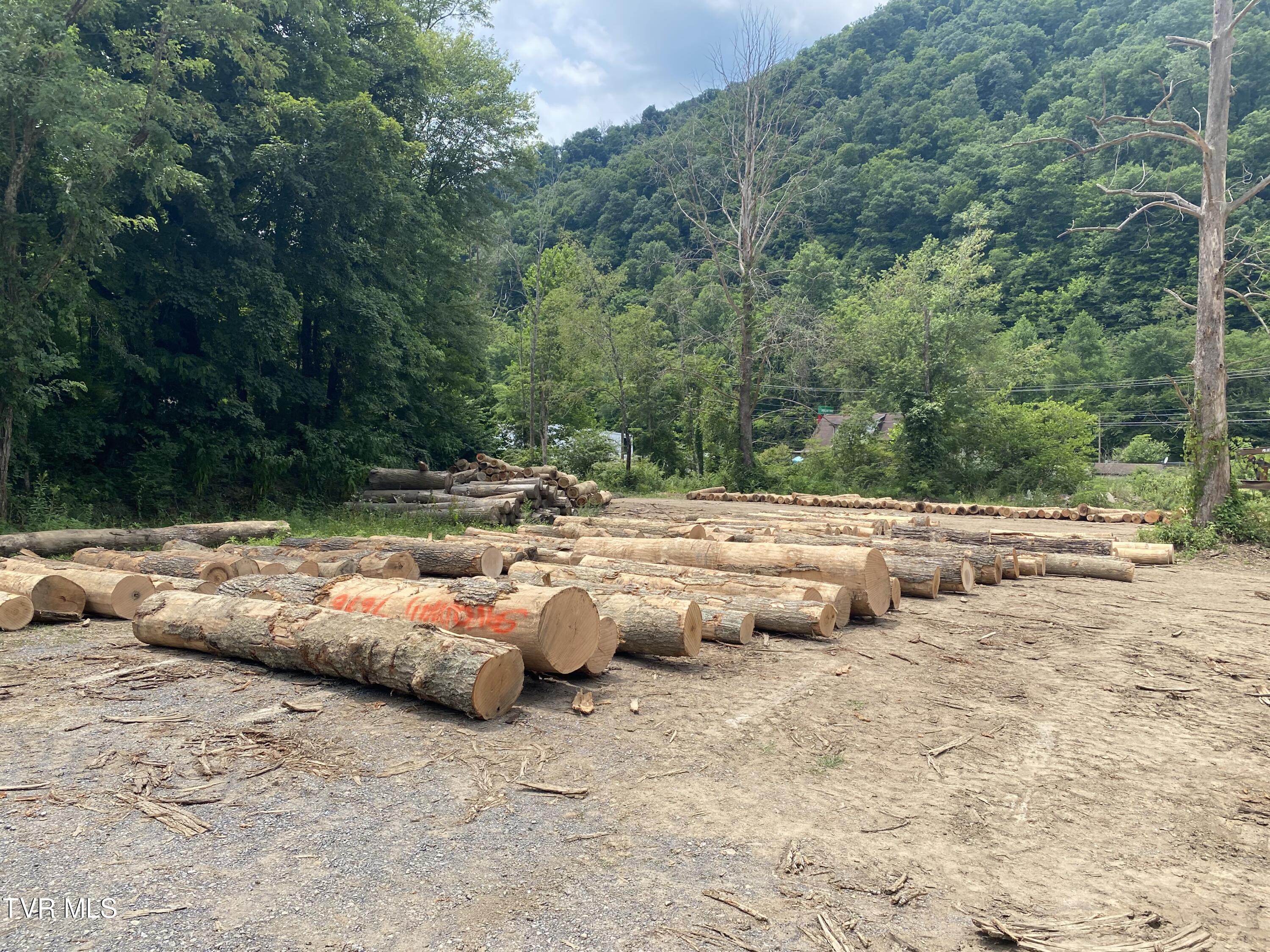 0 Dry Fork Road Vansant, VA 24656 - Photo 8 of 18 IMG_9492