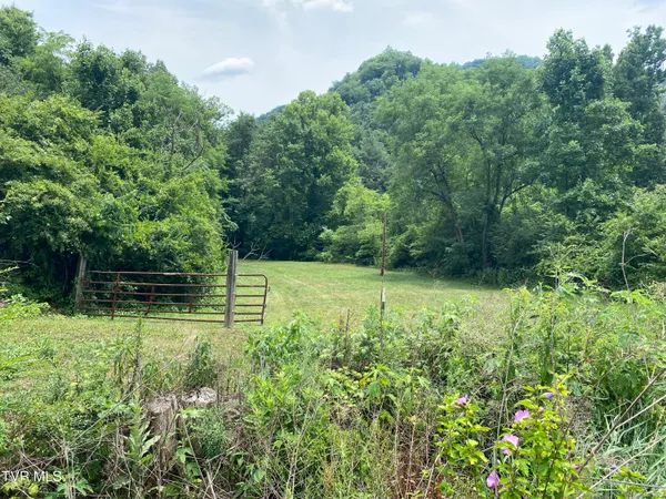 $135,000 | 0 Dry Fork Road, Vansant, VA 24656