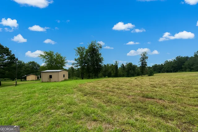 a view of a tree in a yard