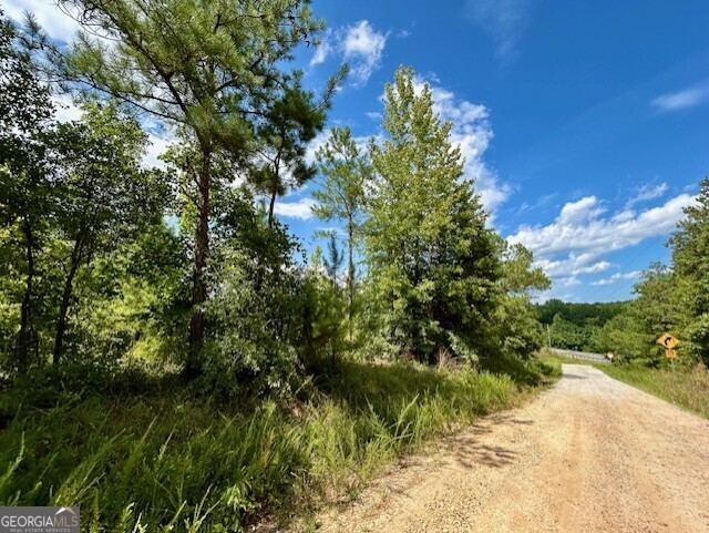 289 Hunting Club Road Southwest Crawfordville, GA 30631 - Photo 18 of 23 a view of a garden
