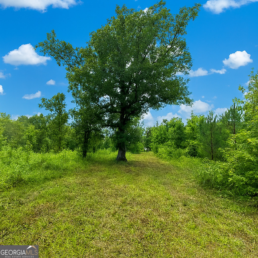 289 Hunting Club Road Southwest Crawfordville, GA 30631 - Photo 19 of 23 a view of an outdoor space and a yard