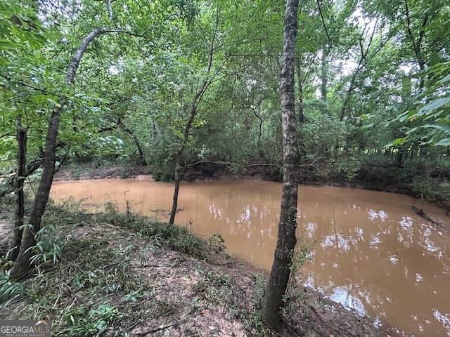 289 Hunting Club Road Southwest Crawfordville, GA 30631 - Photo 2 of 23 a view of a tree in a yard