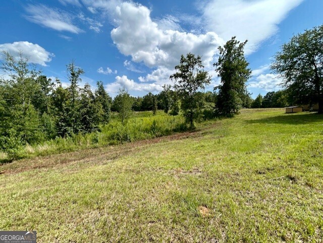 289 Hunting Club Road Southwest Crawfordville, GA 30631 - Photo 8 of 23 a view of a yard with an outdoor space and seating