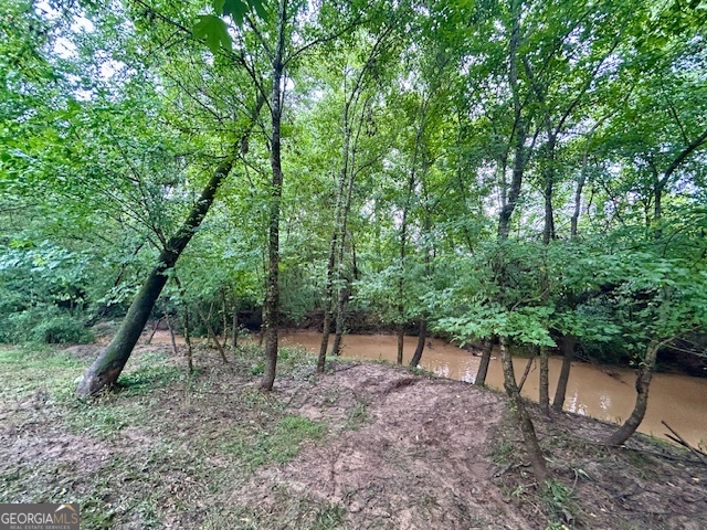 289 Hunting Club Road Southwest Crawfordville, GA 30631 - Photo 9 of 23 a backyard of a house with lots of green space