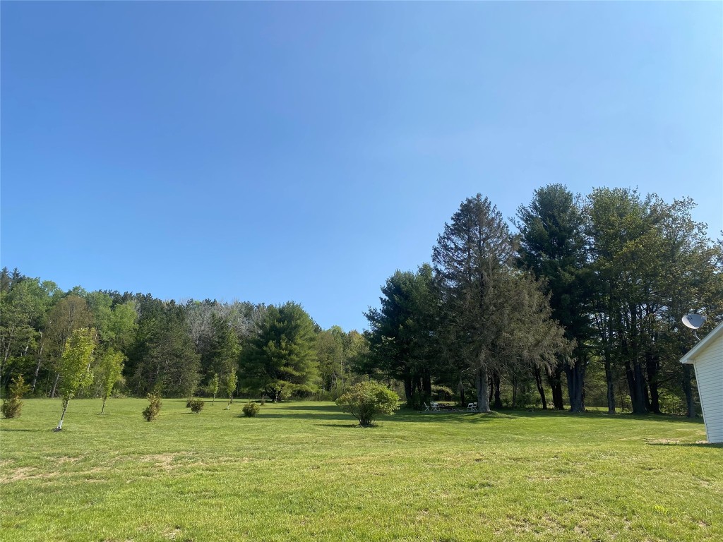 561 Brooks Road Castle Creek, NY 13744 - Photo 31 of 36 Gallery Image 31