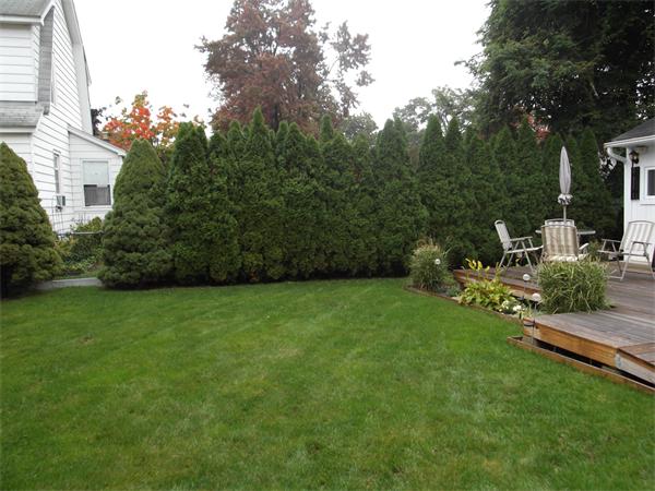 127 Oklahoma Street Springfield, MA 01104 - Photo 5 of 22 Gallery Image 5
