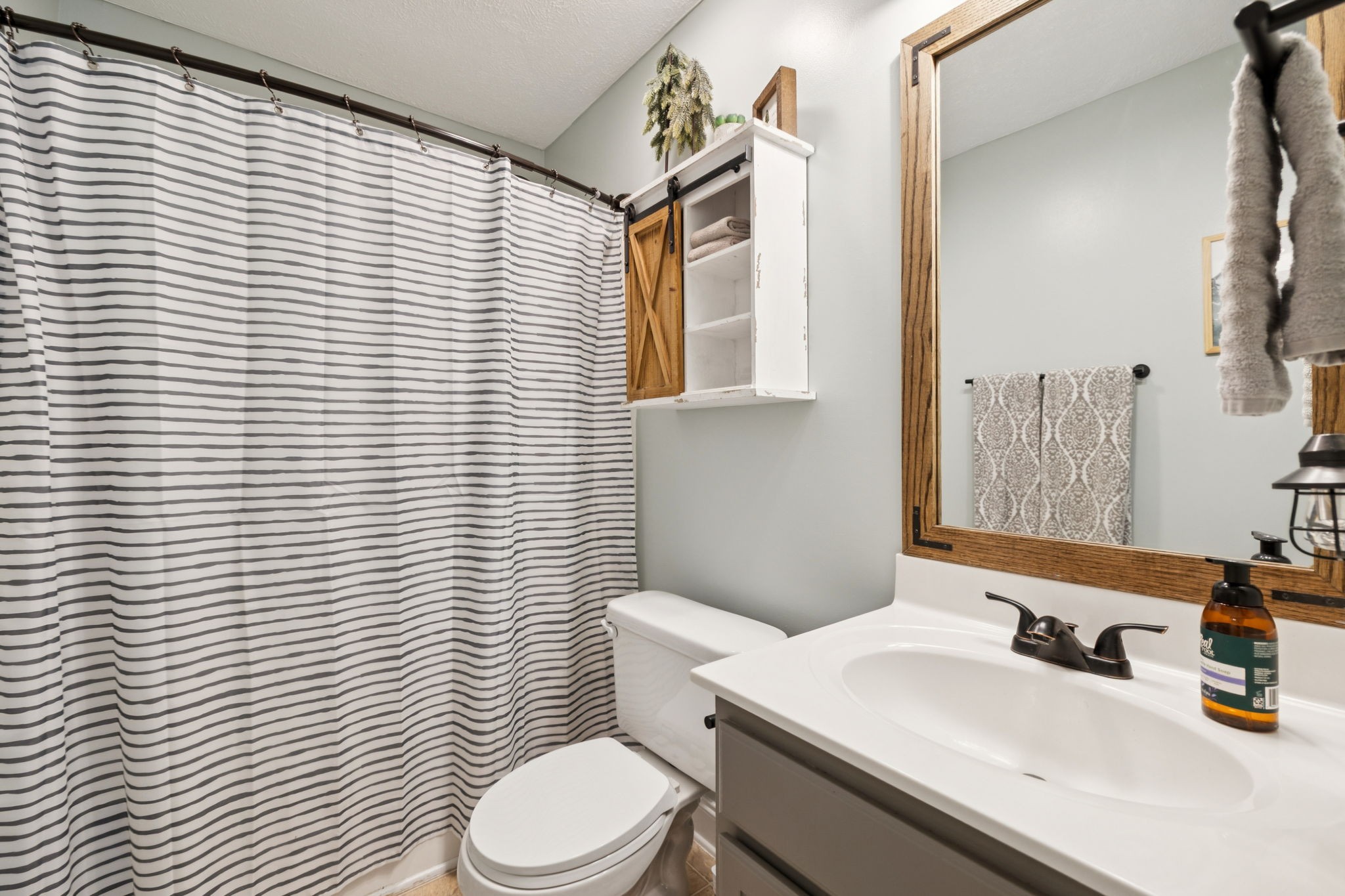 1169 Mantle Way Murfreesboro, TN 37129 - Photo 30 of 45 a bathroom with a toilet a sink and mirror