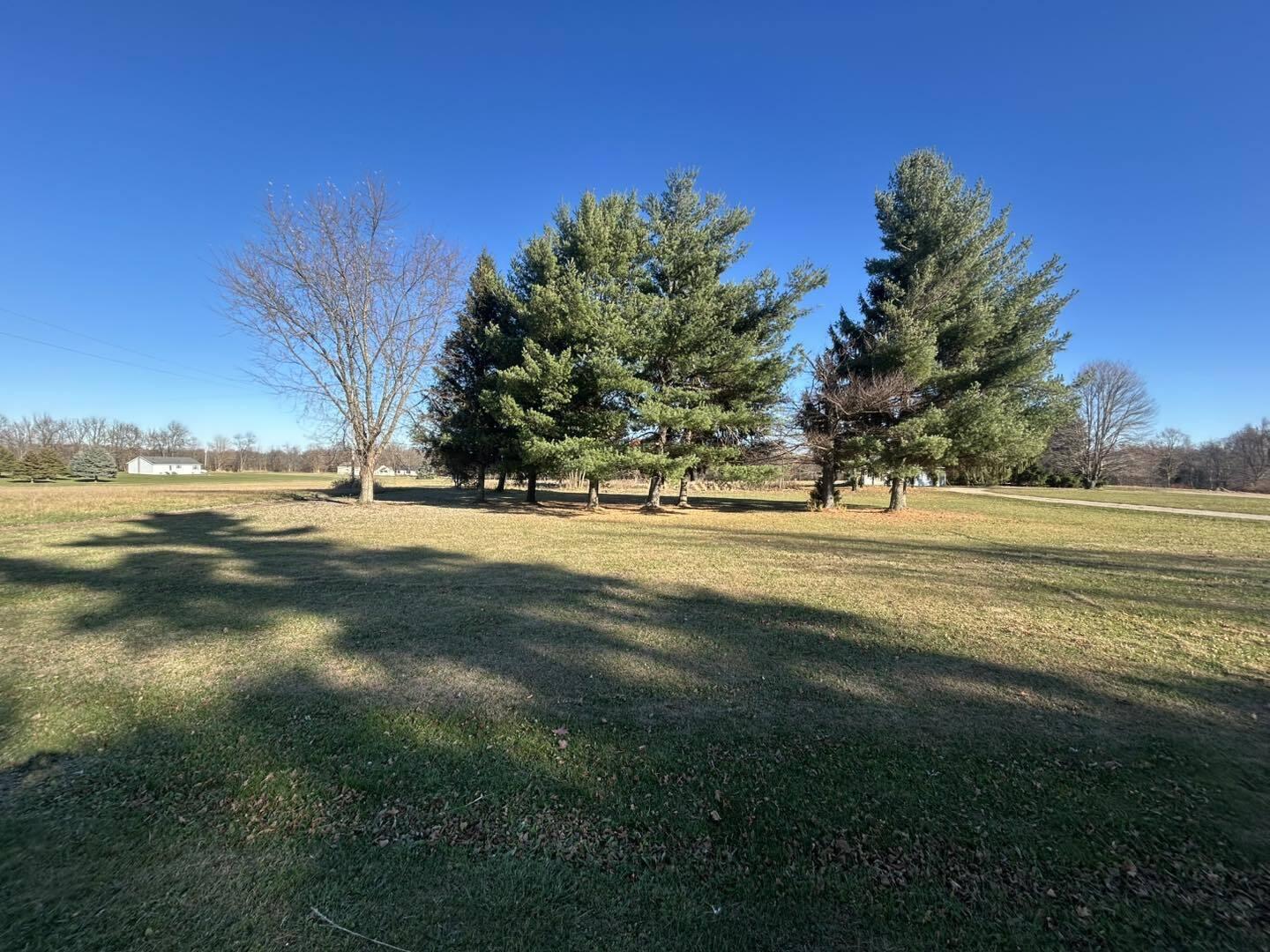 4421 Carpenter Road Reading, MI 49274 - Photo 3 of 6 carp3