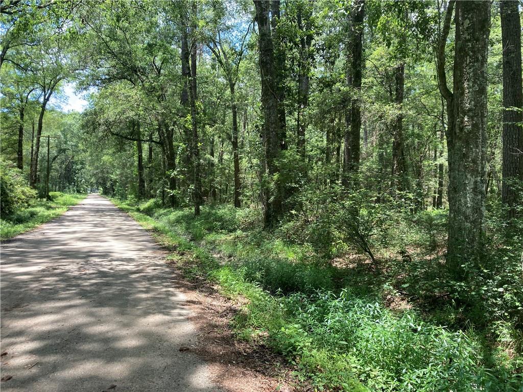 74239 Quave Road Covington, LA 70435 - Photo 2 of 3 Gallery Image 2