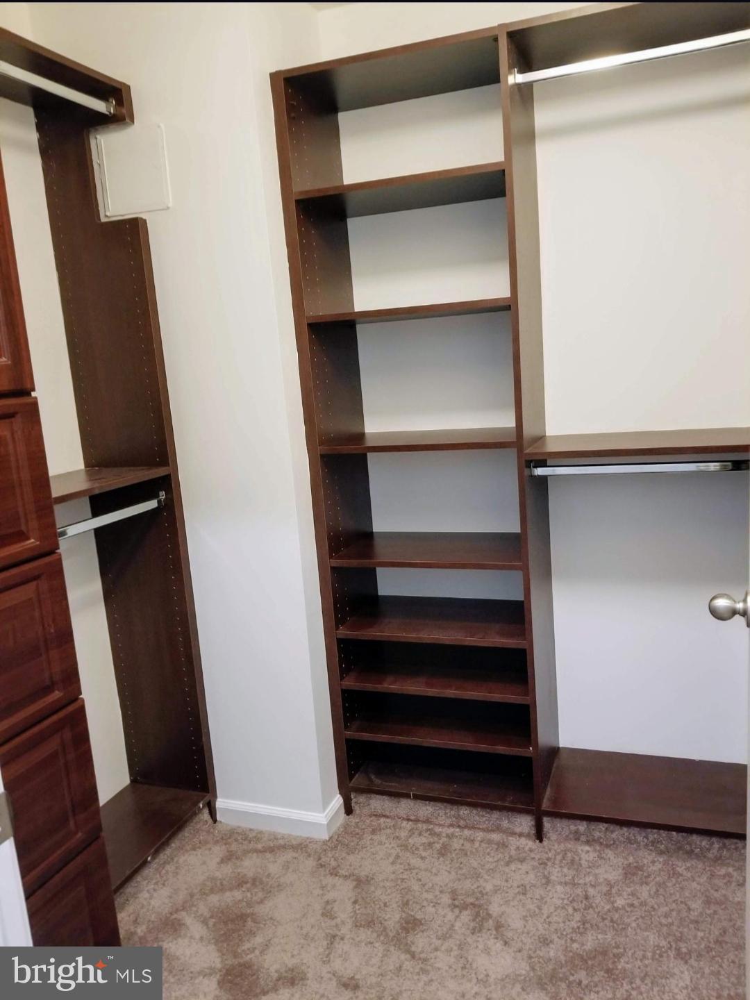 5565 Seminary Road, Unit 415 Falls Church, VA 22041 - Photo 11 of 28 Very unscale closet area.
