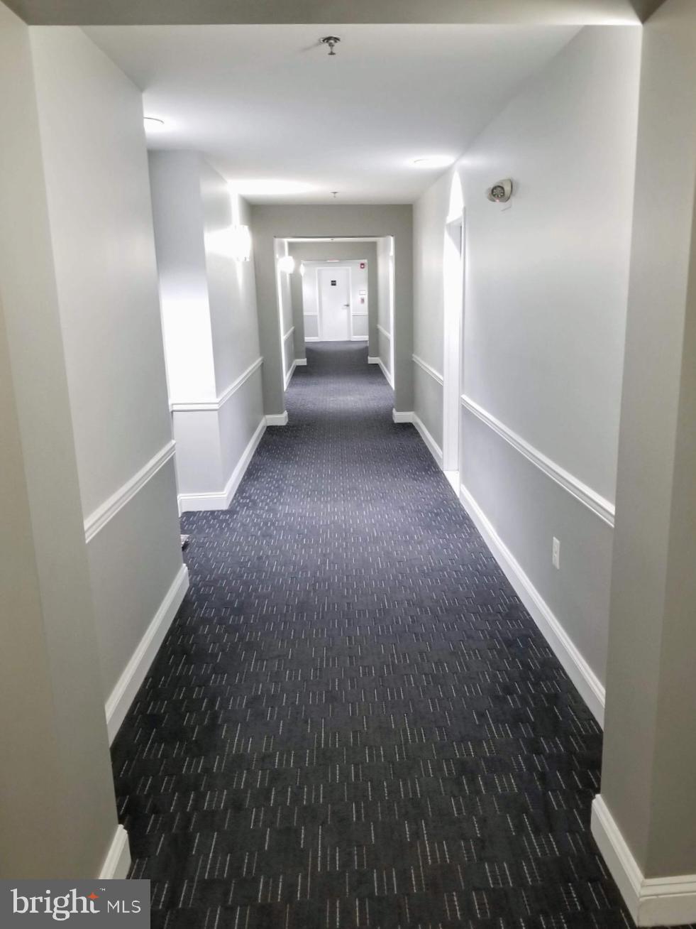 5565 Seminary Road, Unit 415 Falls Church, VA 22041 - Photo 3 of 28 You will like the quiet hallways.