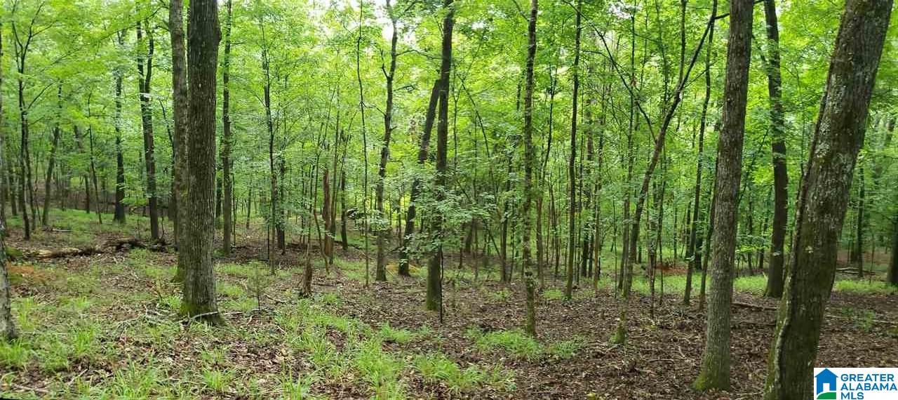 0 Signal Trail, Unit 7 Pelham, AL 35124 - Photo 3 of 4