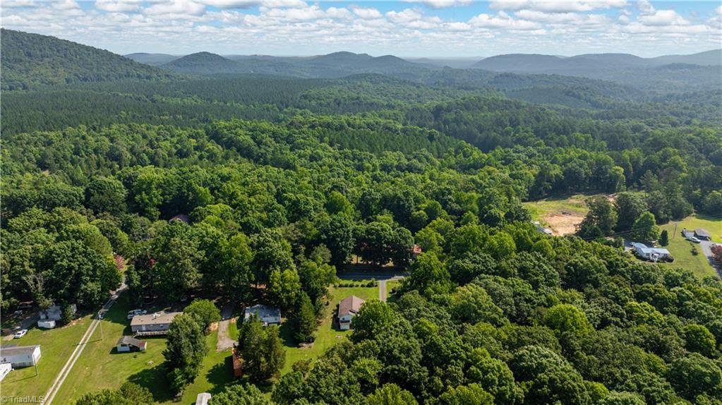545 Mt Shepherd Road Asheboro, NC 27205 - Photo 46 of 49 Aerial