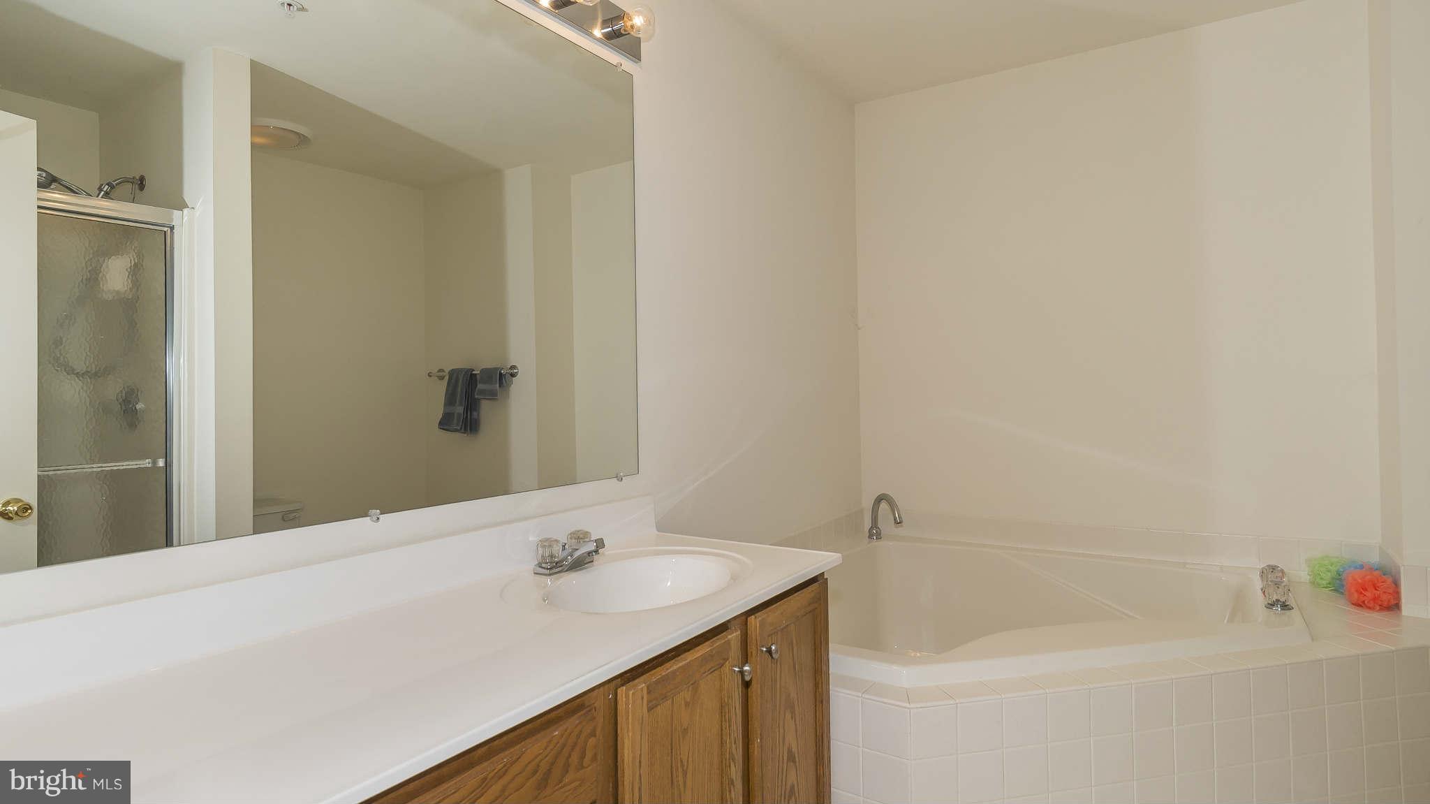 12200 Bare Bush Path Columbia, MD 21044 - Photo 17 of 30 a bathroom with a tub sink and mirror