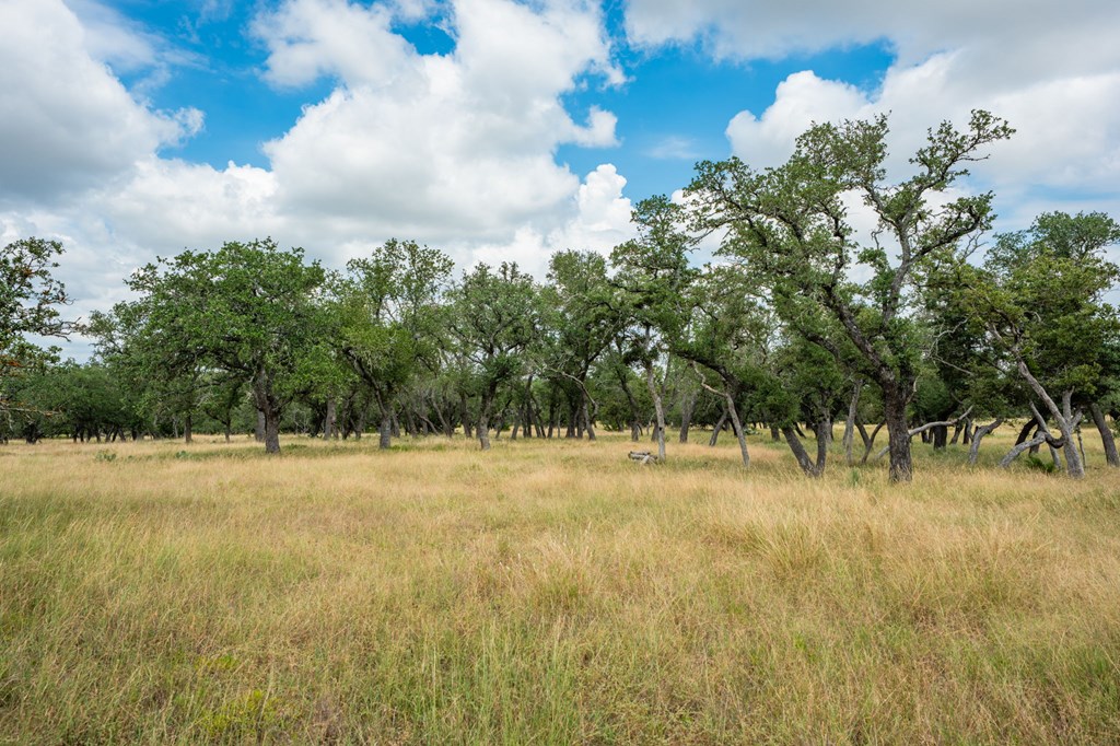 Lot 33 Nott Branch Road, Unit 33 Harper, TX 78631 - Photo 5 of 11
