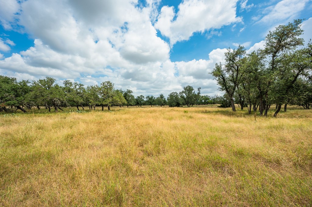 Lot 33 Nott Branch Road, Unit 33 Harper, TX 78631 - Photo 10 of 11