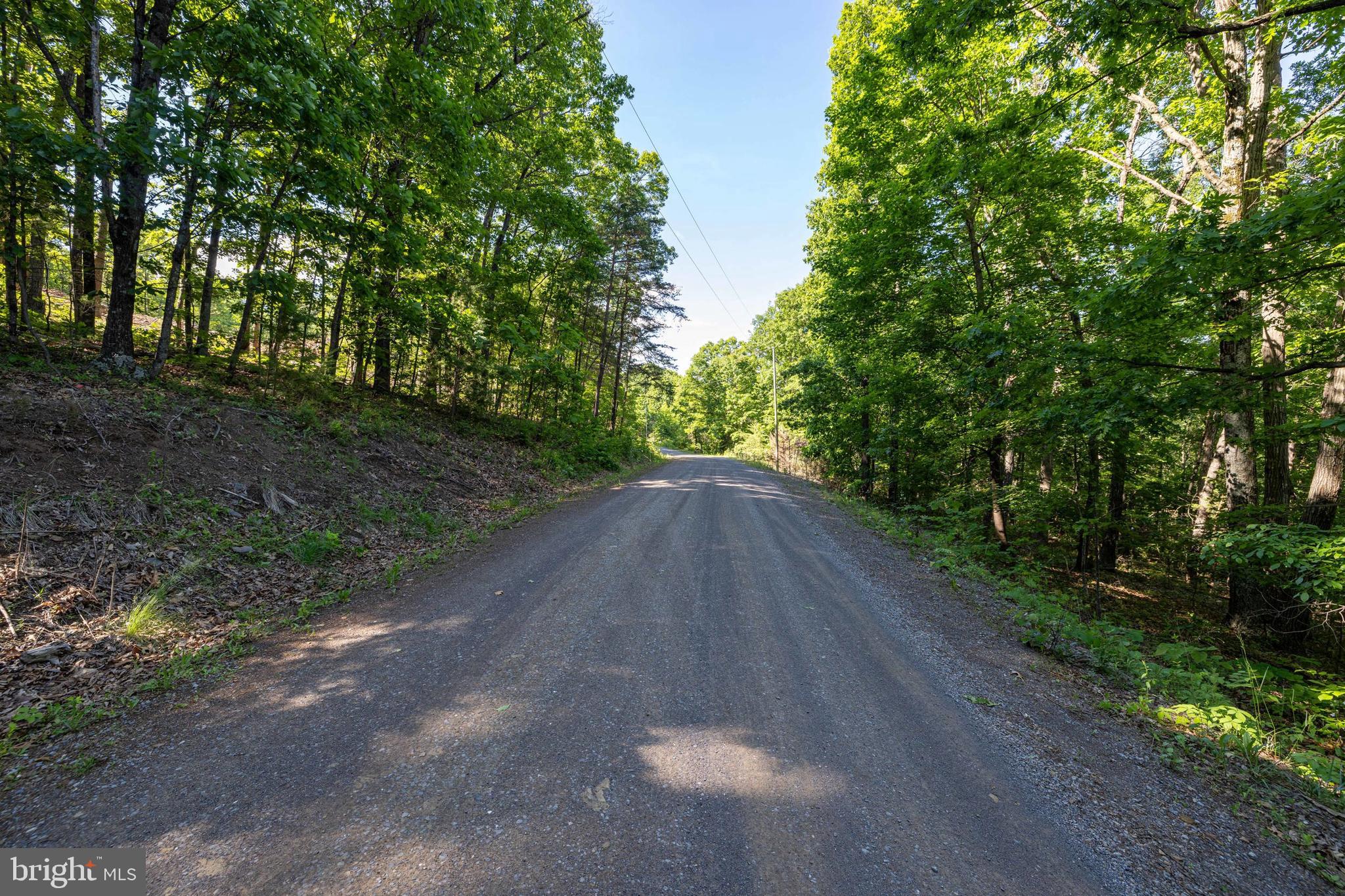 0 Cross Mountain Road Luray, VA 22835 - Photo 51 of 51
