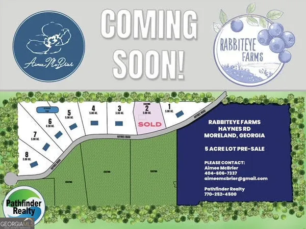 $225,000 | Lot 1 Haynes Road, Moreland, GA 30259