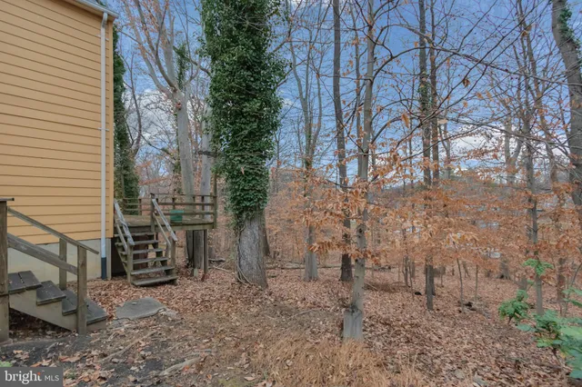 a view of a pathway with a yard