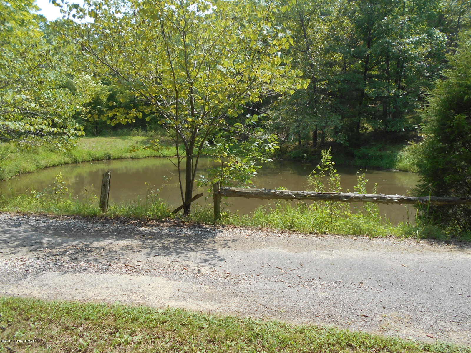 3799 Highway 110 Falls Of Rough, KY 40119 - Photo 12 of 33 DSCN0315
