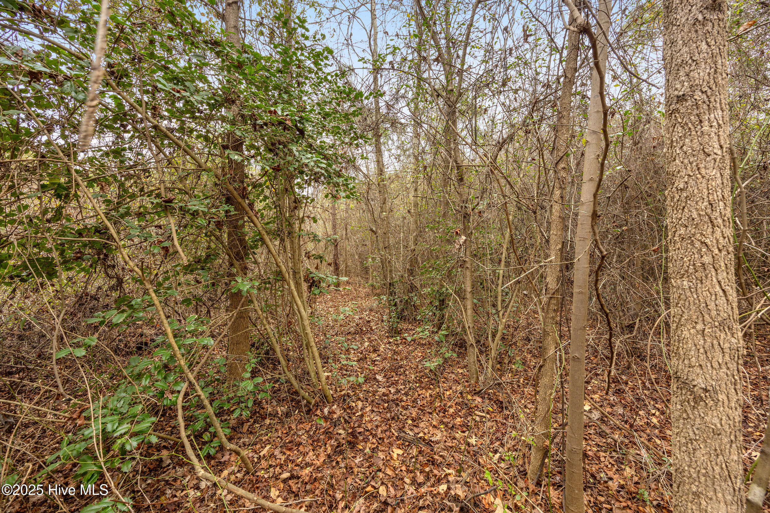 0 Gaddy's Mill Road Maxton, NC 28364 - Photo 12 of 24 12