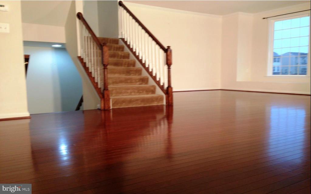 41907 Moreland Mine Terrace Aldie, VA 20105 - Photo 7 of 22 Interior (General)