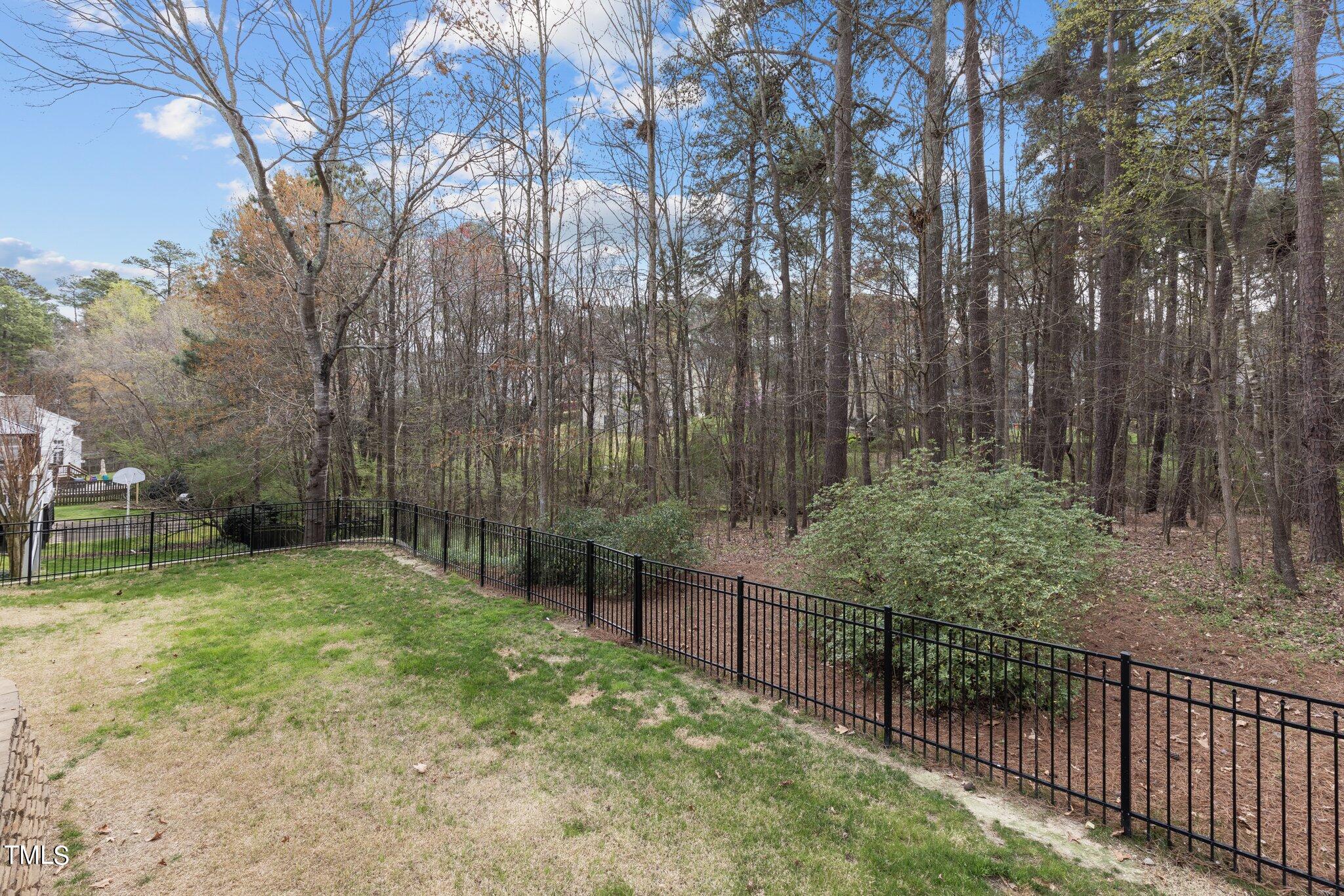 103 Summerglow Court Cary, NC 27513 - Photo 59 of 67 a view of backyard with green space