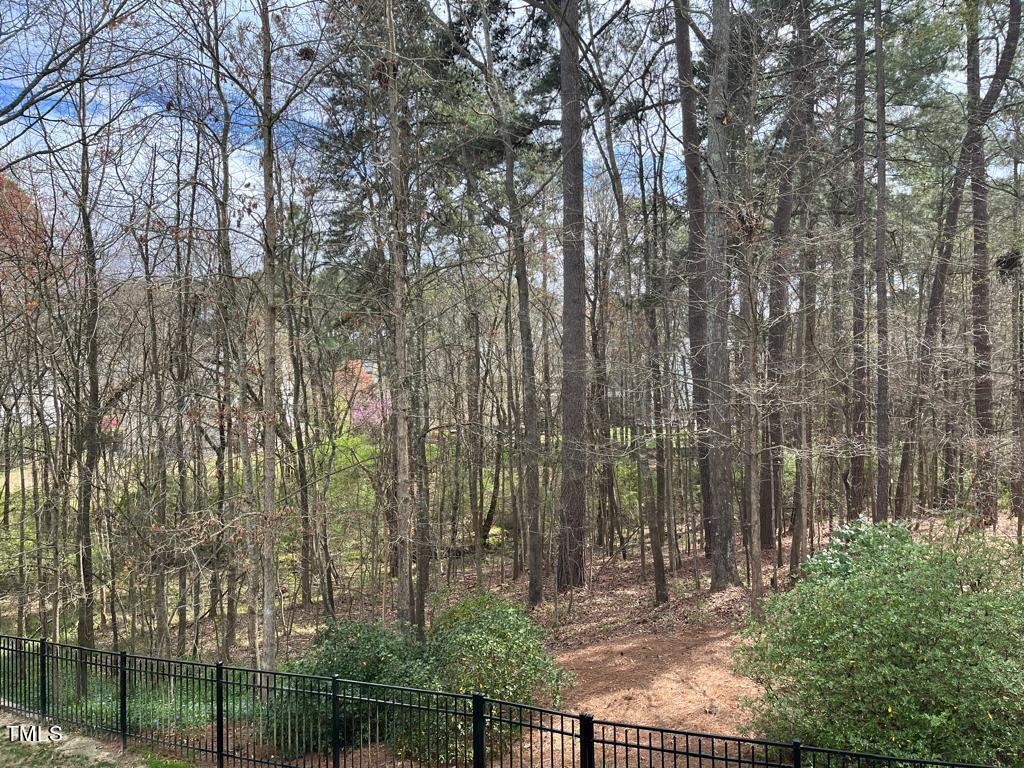 103 Summerglow Court Cary, NC 27513 - Photo 61 of 67 a backyard of a house with lots of green space and a fountain