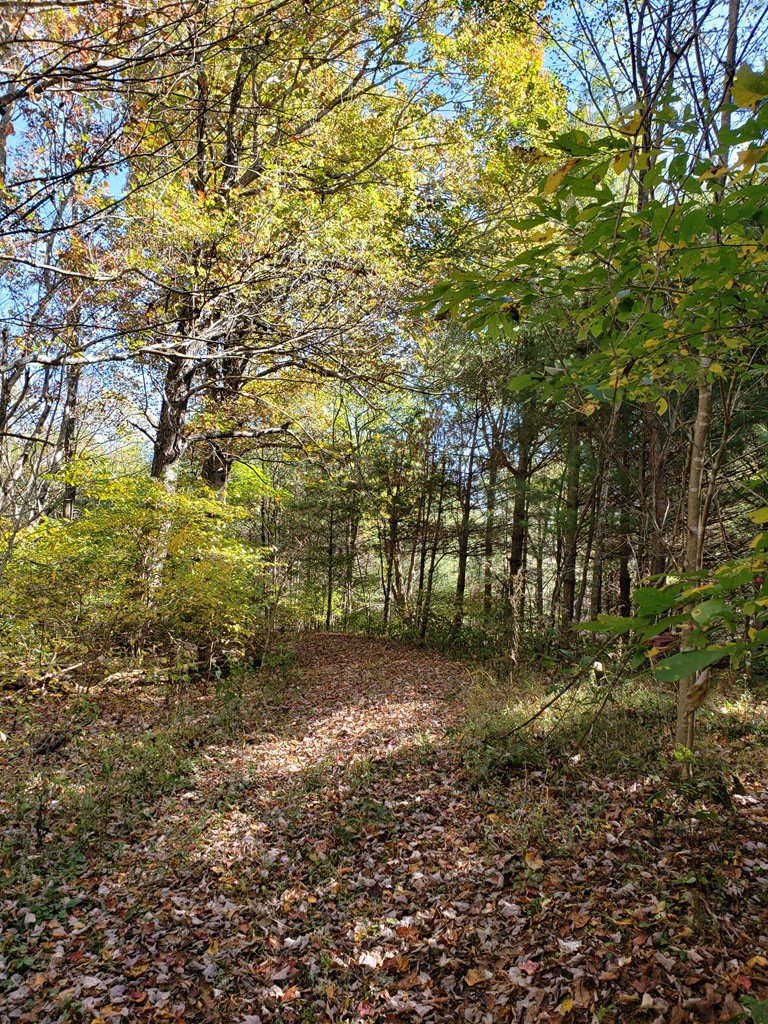 Tbd Tbd Summerfield Road, Unit 36A45B Independence, VA 24348 - Photo 6 of 10 Gallery Image 6