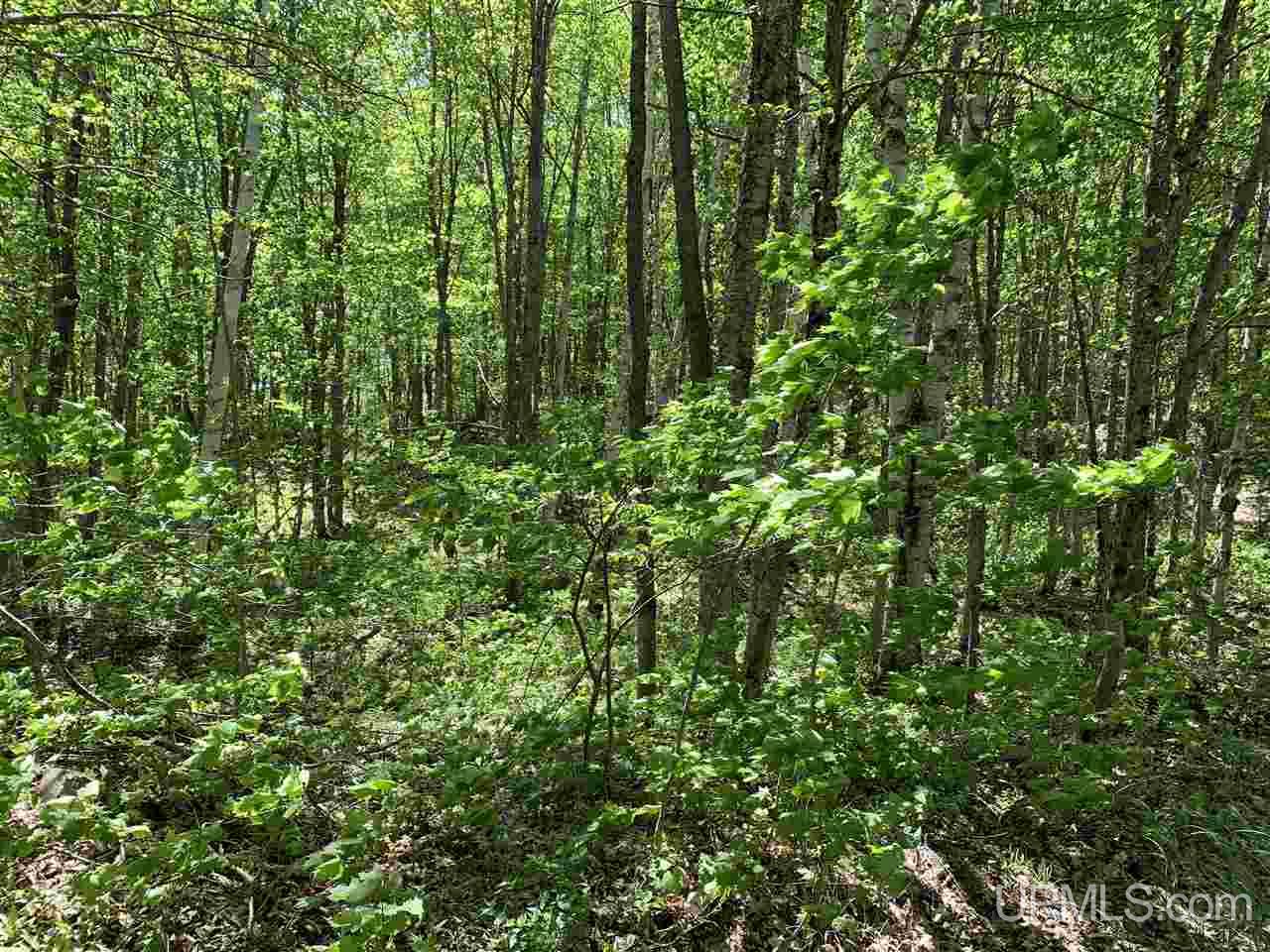 Tbd West Branch Huron River Road Skanee, MI 49946 - Photo 26 of 28