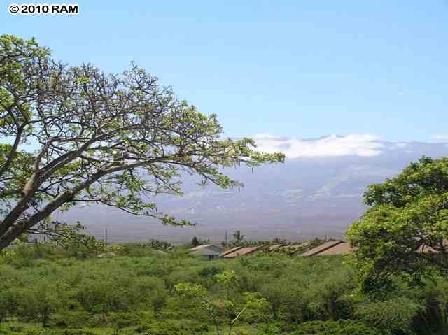 715 South Kihei Road, Unit 226 Kihei, HI 96753 - Photo 25 of 26 a view of a yard