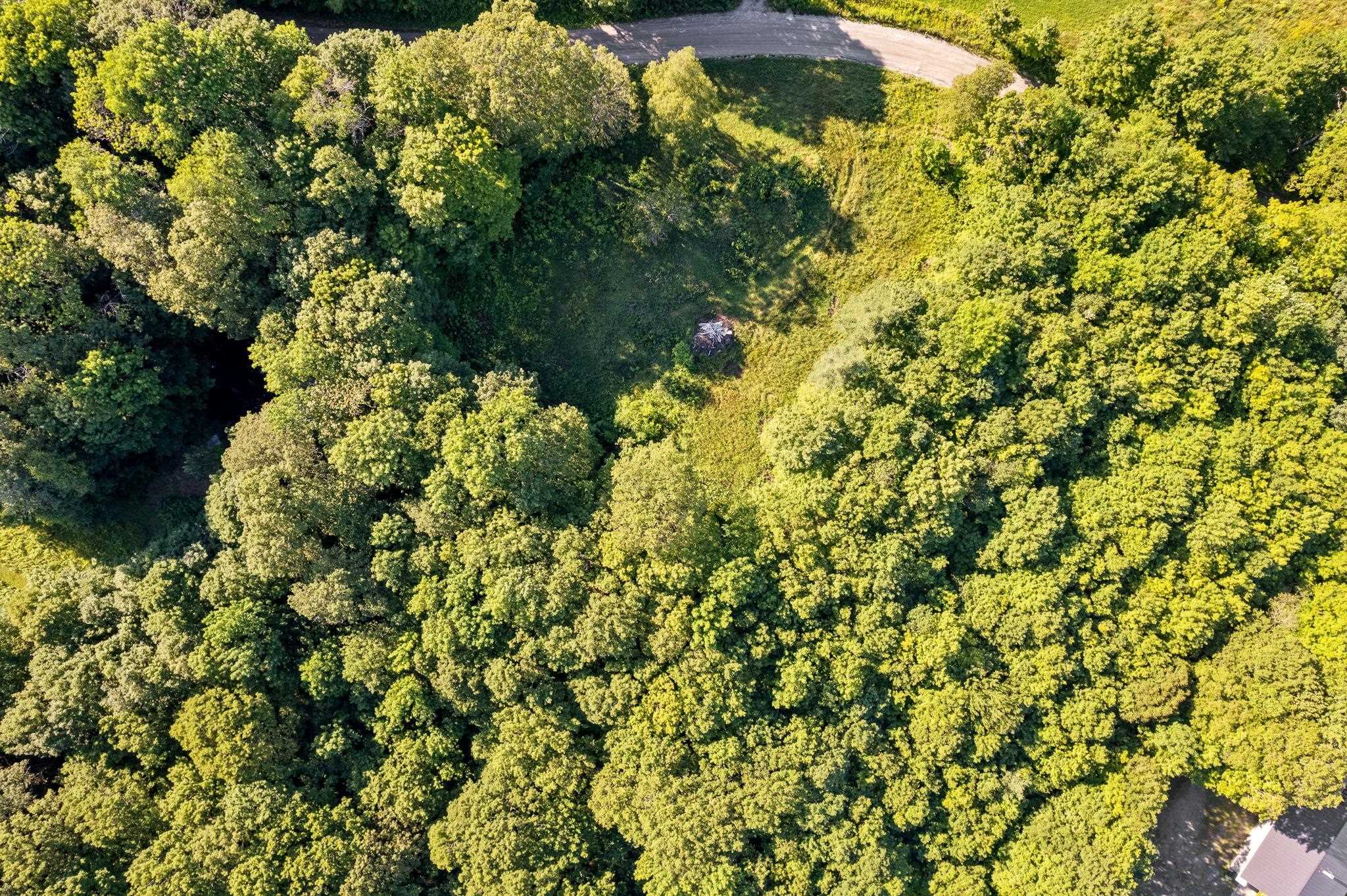 0 Hyland Hill Road Washington, VT 05675 - Photo 8 of 11