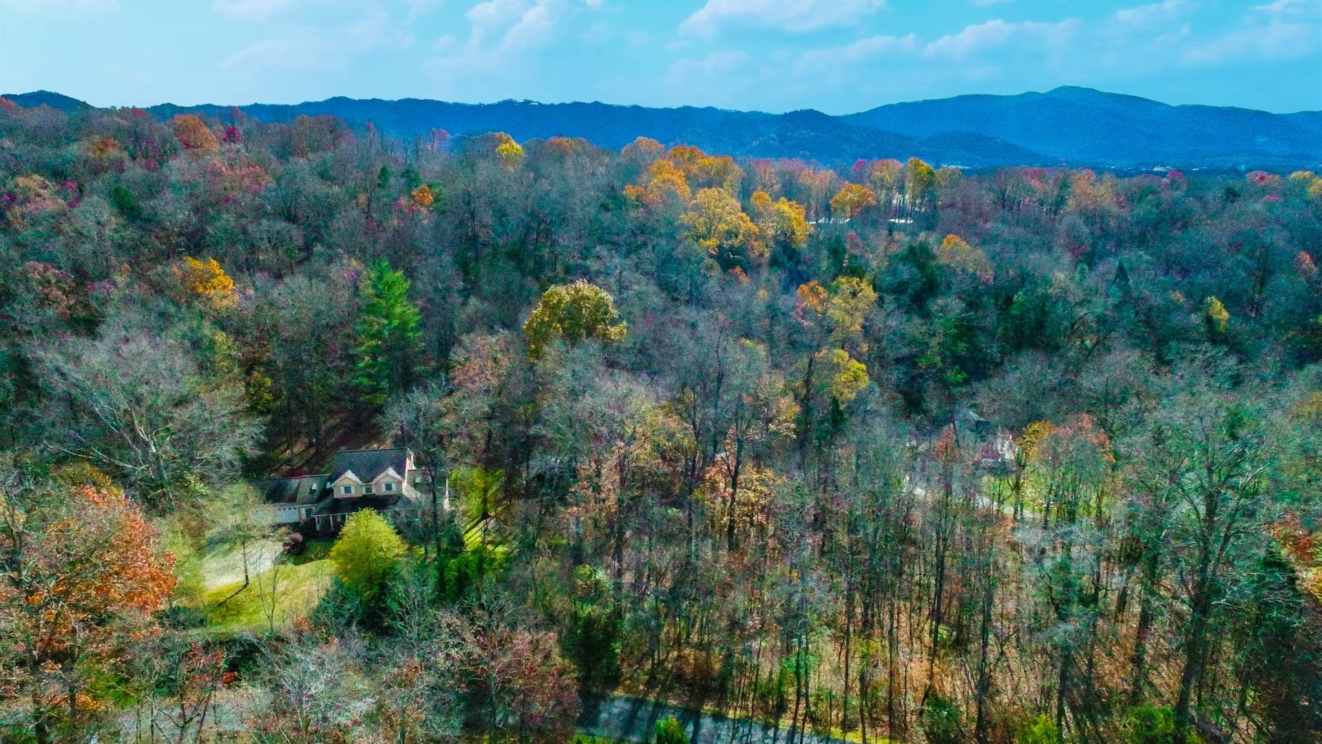 1114 Autumn Breeze Road Newport, TN 37821 - Photo 12 of 36 12