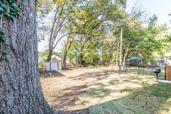 a view of a yard with a tree