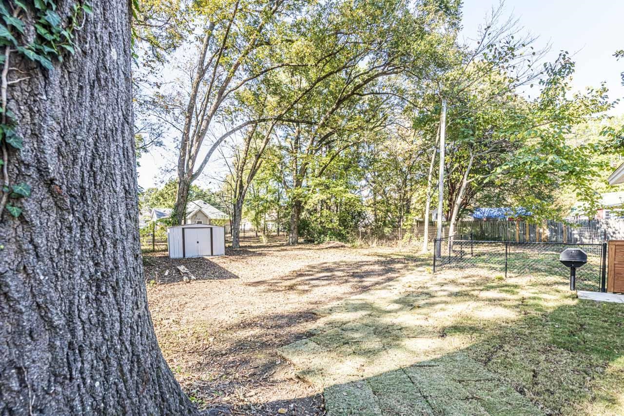 715 South Maple Street Covington, TN 38019 - Photo 6 of 33 a view of a yard with a tree