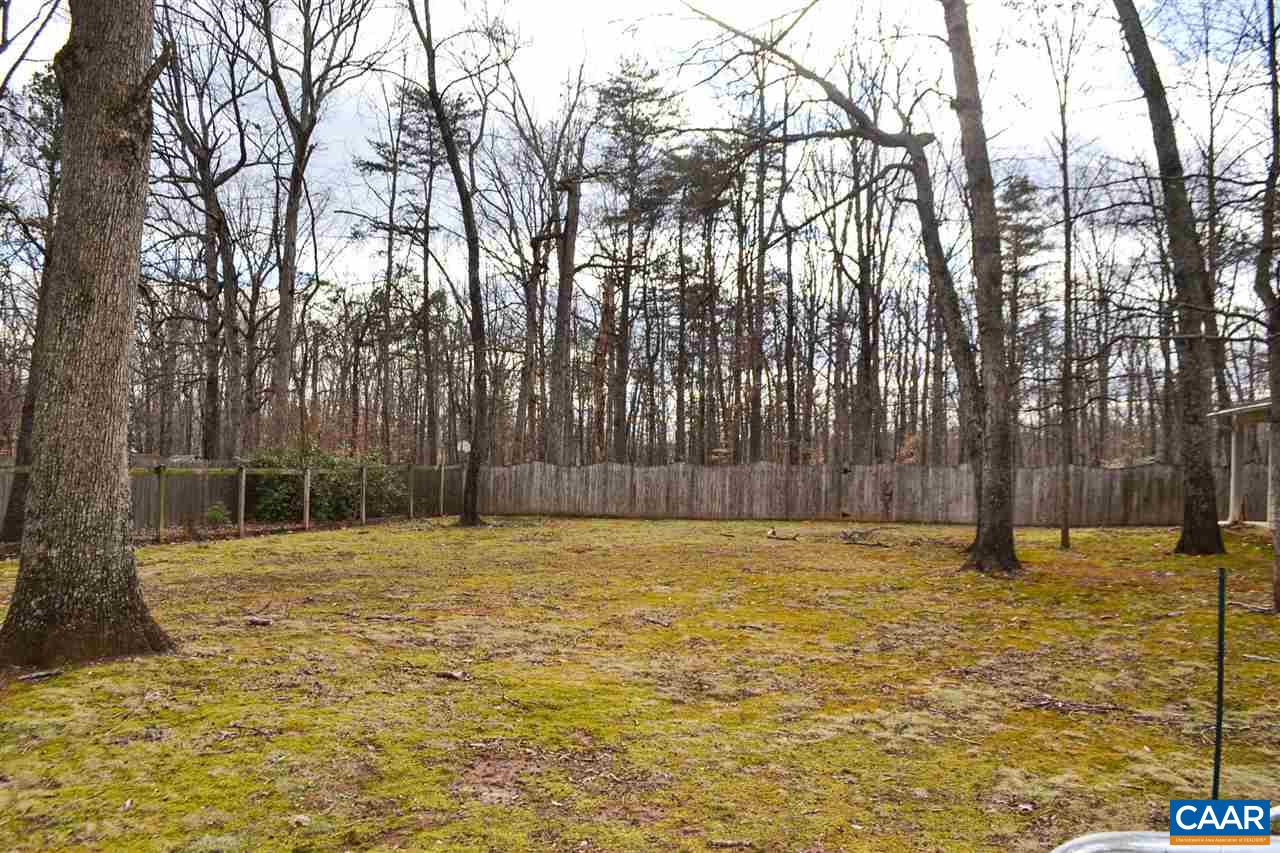 2738 Rio Mills Road Earlysville, VA 22936 - Photo 17 of 48 a swimming pool with trees in the background