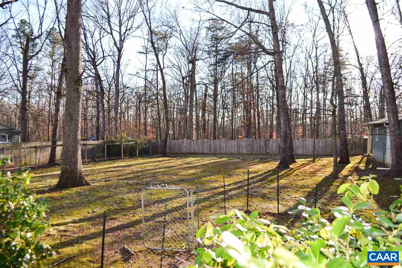 2738 Rio Mills Road Earlysville, VA 22936 - Photo 20 of 48 a view of a backyard with palm trees