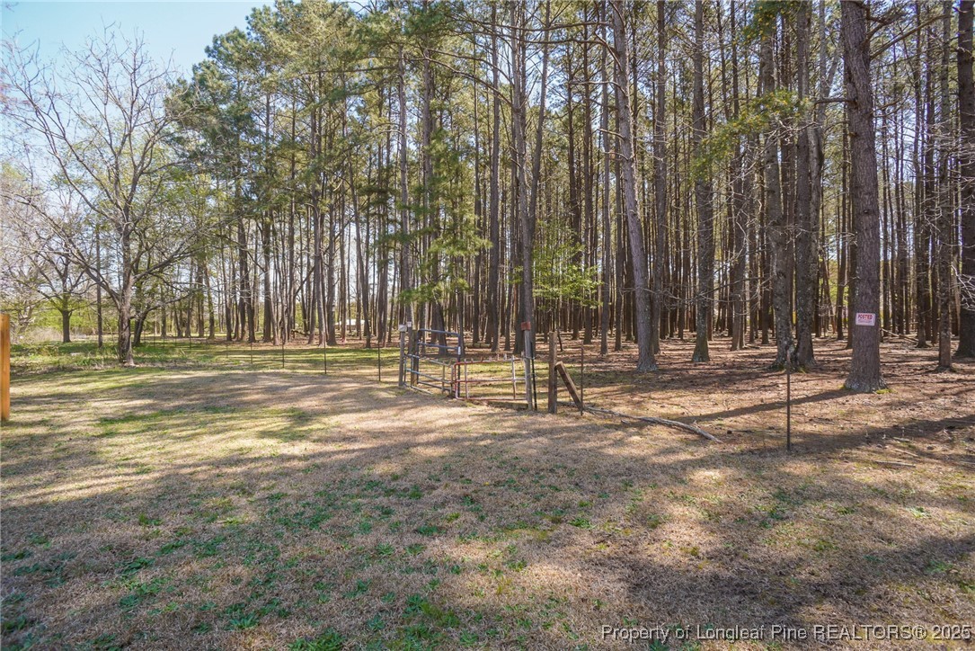 2830 John McMillan Road Hope Mills, NC 28348 - Photo 40 of 46 a view of outdoor space with trees
