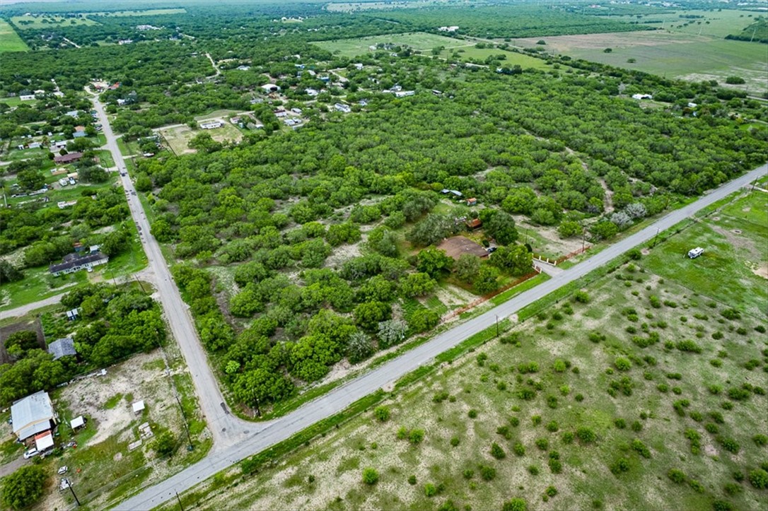 9675 County Road 325 Mathis, TX 78368 - Photo 28 of 29 a view of a green field with lots of bushes