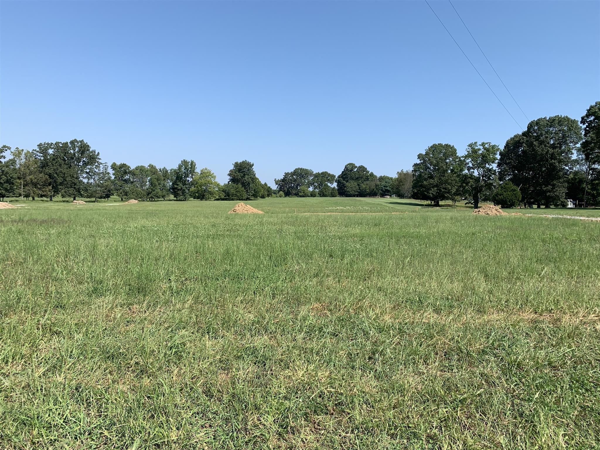 6616 Highway 25 Springfield, TN 37172 - Photo 2 of 4 a view of field with grass and trees in the background