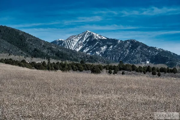 $142,000 | Tbd Sumac Loop, Swan Valley, ID 83449