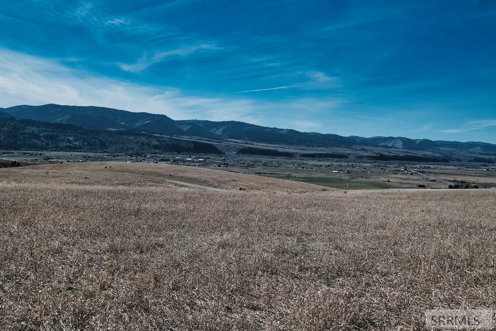 Tbd Sumac Loop Swan Valley, ID 83449 - Photo 2 of 9